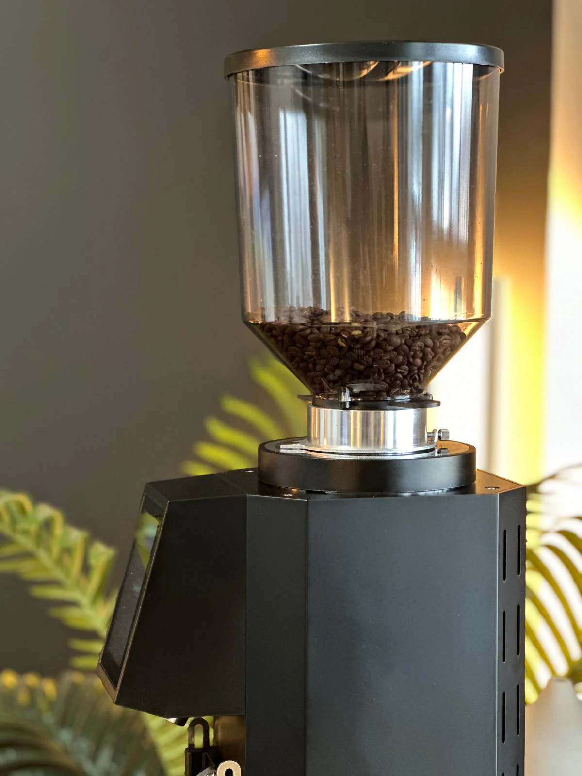 Turin ZF83 Commercial Espresso Grinder - Image 17